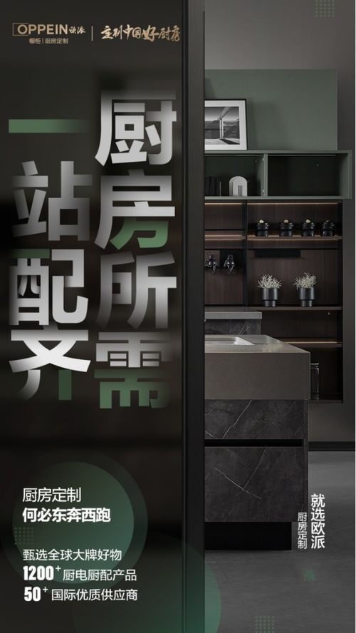 從經(jīng)濟學視角解讀歐派櫥柜整廚全包套餐 為何專業(yè)設計服務是理性消費決策